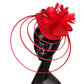 Fashion Sinamay Fascinator – Fancy Floral Wedding Hat with Feathers, Elegant Hair Clip for Ladies, Church & Special Events