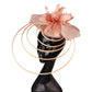 Fashion Sinamay Fascinator – Fancy Floral Wedding Hat with Feathers, Elegant Hair Clip for Ladies, Church & Special Events