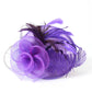 Women's Ascot Fascinator Hat – Reversible Feather & Mesh Headband with Clip for Kentucky Derby, Tea Parties & Photography