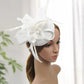 Faux Feather & Mesh Fascinator