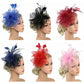 Stylish Fascinator Hat – Mesh Flower & Feather Headband for Tea & Cocktail Parties