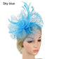 Stylish Fascinator Hat – Mesh Flower & Feather Headband for Tea & Cocktail Parties