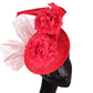 Hot Pink Fashion Fascinator Hat – Flower Mesh & Fancy Feather Headpiece for Church, Cocktail Parties & Races