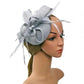 Faux Feather & Mesh Fascinator