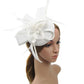 Faux Feather & Mesh Fascinator